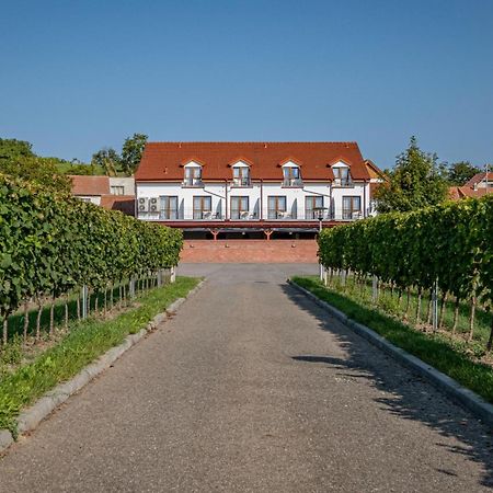 Penzion Pod Kravi Horou Bořetice Exterior foto