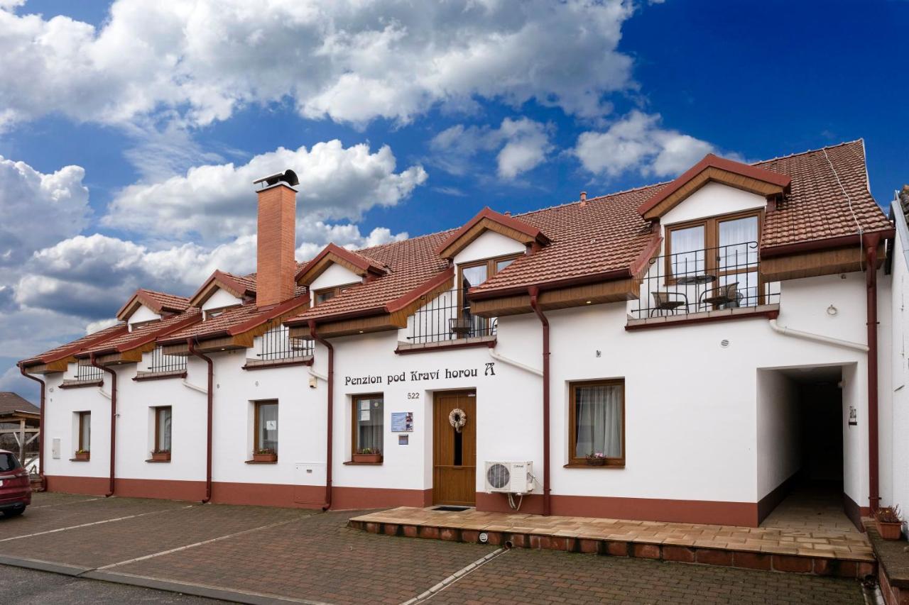 Penzion Pod Kravi Horou Bořetice Exterior foto